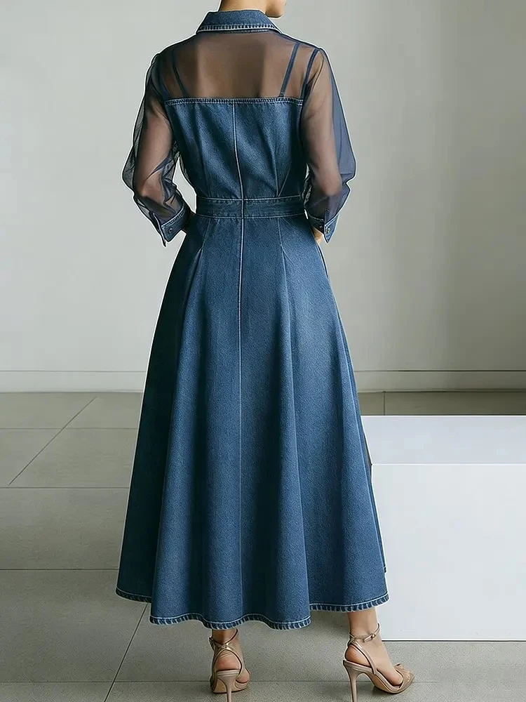 Robe trapèze en jean streetwear pour femme, vêtement d'été, avec manches longues en tulle transparent et col rabattu, style maxi vintage – Image 2